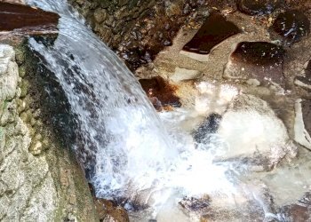 Foto 3 - Casa indipendente Via Nuova, Camaiore - foto 3