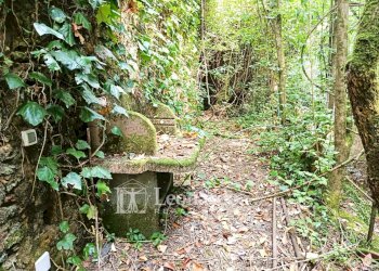 Foto 4 - Casa indipendente Via Nuova, Camaiore - foto 4