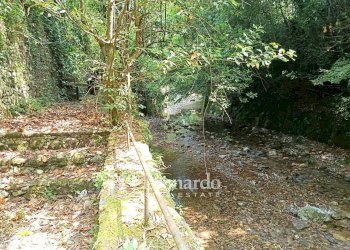 Foto 5 - Casa indipendente Via Nuova, Camaiore - foto 5