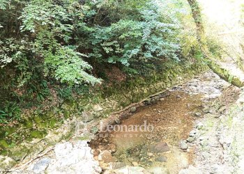 Foto 12 - Casa indipendente Via Nuova, Camaiore - foto 12