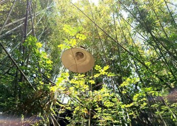 Foto 14 - Casa indipendente Via Nuova, Camaiore - foto 14