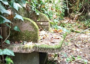 Foto 15 - Casa indipendente Via Nuova, Camaiore - foto 15