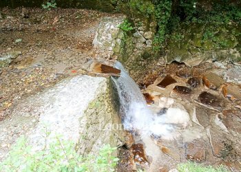 Foto 16 - Casa indipendente Via Nuova, Camaiore - foto 16