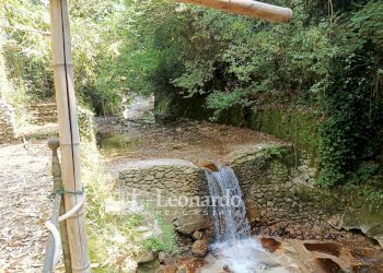 Foto 17 - Casa indipendente Via Nuova, Camaiore - foto 17