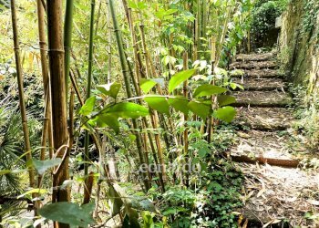 Foto 22 - Casa indipendente Via Nuova, Camaiore - foto 22