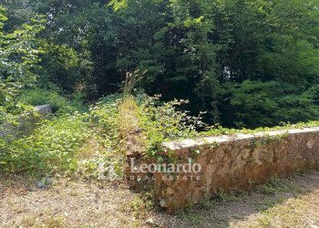 Foto 29 - Casa indipendente Via Nuova, Camaiore - foto 29