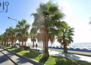 Foto 4 - Trilocale Via Torino
 
snc, Varazze - foto 4