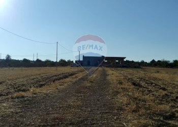 Edificio all\'aperto - Rustico Laterza - foto 17