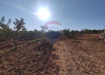 Vista delle montagne - Rustico Laterza - foto 18