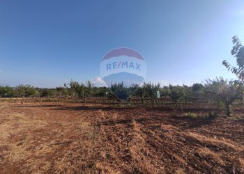 Giardino - Rustico Laterza - foto 19