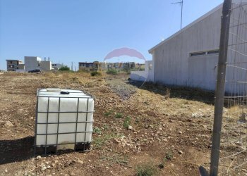 Giardino - Terreno edificabile Laterza - foto 6