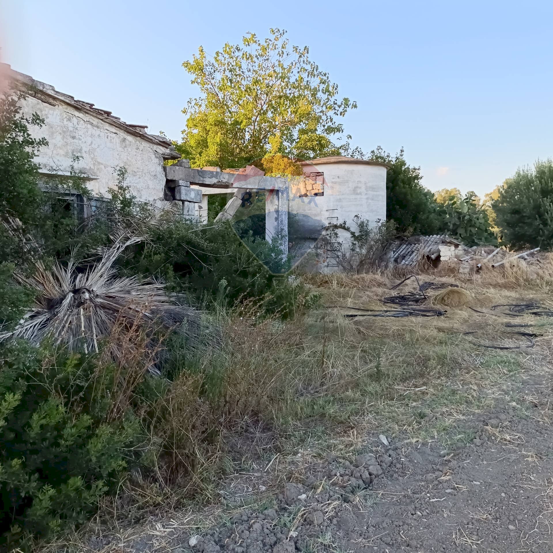 Giardino - Independent house Ginosa - photo 2