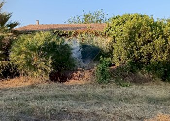 Giardino - Independent house Ginosa - photo 5