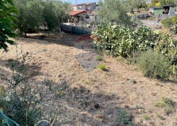 Giardino - Terreno edificabile Via Ischia (C.da Fontana Murata)
snc, Belpasso - foto 6