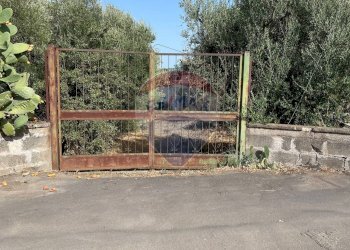 Giardino - Terreno edificabile Via Ischia (C.da Fontana Murata)
snc, Belpasso - foto 10