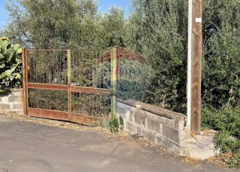 Giardino - Terreno edificabile Via Ischia (C.da Fontana Murata)
snc, Belpasso - foto 11