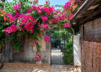 Giardino - Villa pasteria
 
19/E, Calatabiano - foto 20