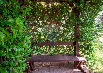 Giardino - Villa pasteria
 
19/E, Calatabiano - foto 23