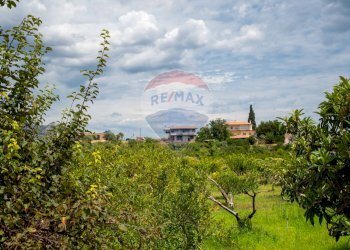 Giardino - Villa pasteria
 
19/E, Calatabiano - foto 80