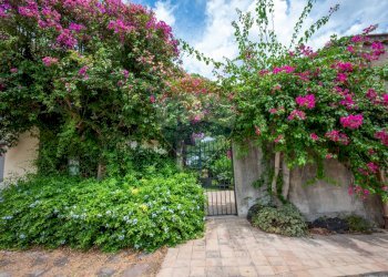 Giardino - Villa pasteria
 
19/E, Calatabiano - foto 83