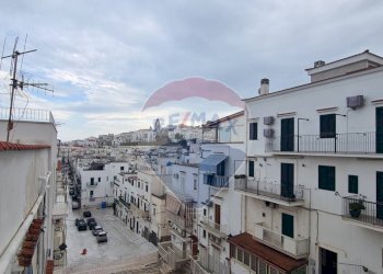 vista sul quartiere - Appartamento Via Domenico Antonio Spina
 
98, Vieste - foto 25