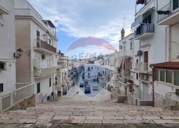 vista sul quartiere - Appartamento Via Domenico Antonio Spina
 
98, Vieste - foto 32