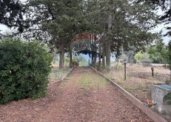 Giardino - Casa semi indipendente Via Cantò
 
93, Cepagatti - foto 9