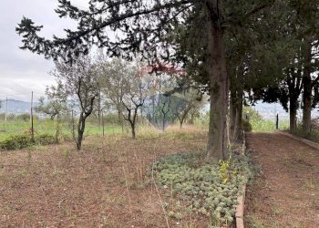 Giardino - Casa semi indipendente Via Cantò
 
93, Cepagatti - foto 10