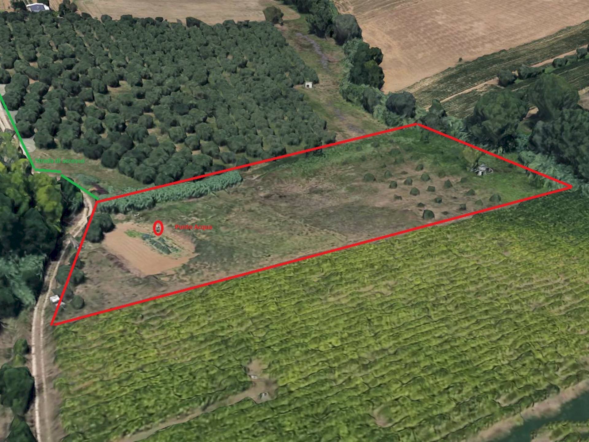 Foto 2 - Terreno agricolo Case di Trento, Giulianova - foto 2