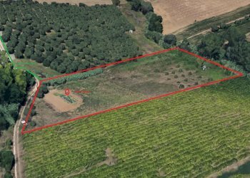 Foto 2 - Terreno agricolo Case di Trento, Giulianova - foto 2