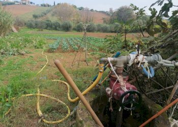 Foto 4 - Terreno agricolo Case di Trento, Giulianova - foto 4