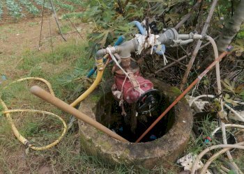 Foto 10 - Terreno agricolo Case di Trento, Giulianova - foto 10