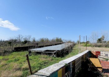 Foto 12 - Casa indipendente via zappella
 
26, Trecase - foto 12