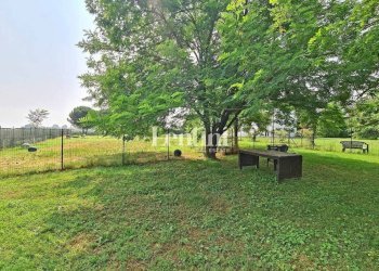 Terreno - Rustico via Cassola, Sale - foto 8