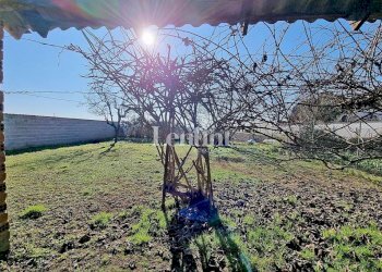 Terreno - Villa via San Martino, Borgo San Martino - foto 7