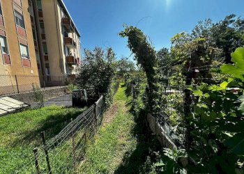 Giardino - Trilocale via Valgella, 10, Varese - foto 21