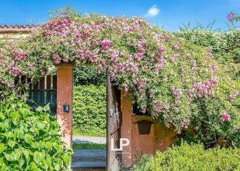Giardino - Rustico via 1 Maggio, Castelletto Sopra Ticino - foto 25