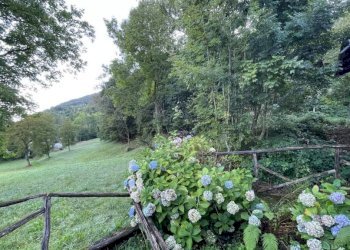Terreno - Casa indipendente Frazione Vigna, 84, Chiusa di Pesio - foto 13