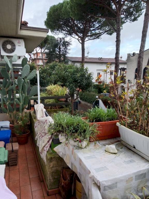 Giardino - Quadrilocale via Pisa, 70, Massa - foto 3