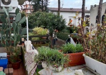 Giardino - Quadrilocale via Pisa, 70, Massa - foto 3