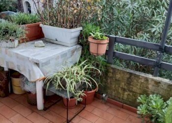 Terrazzo - Quadrilocale via Pisa, 70, Massa - foto 4