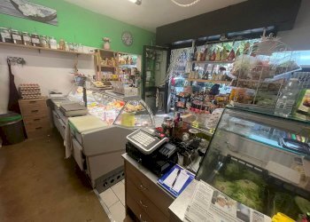 Attività Commerciale Modena - foto 2