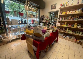 Attività Commerciale Modena - foto 9