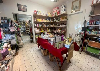 Attività Commerciale Modena - foto 10