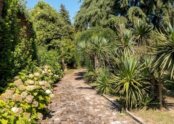 Villa Fusignano - photo 5