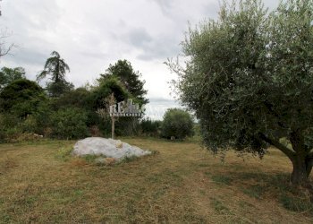 Foto 4 - Rustico Zona Galluccio, Folignano - foto 4