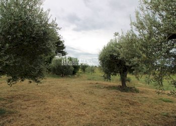 Foto 5 - Rustico Zona Galluccio, Folignano - foto 5