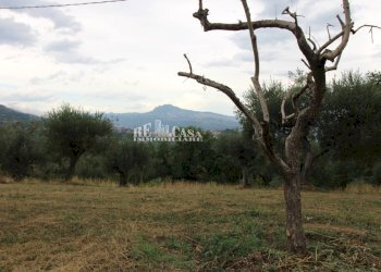 Foto 6 - Rustico Zona Galluccio, Folignano - foto 6