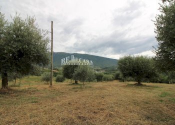 Foto 7 - Rustico Zona Galluccio, Folignano - foto 7