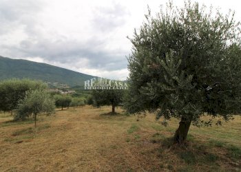 Foto 8 - Rustico Zona Galluccio, Folignano - foto 8